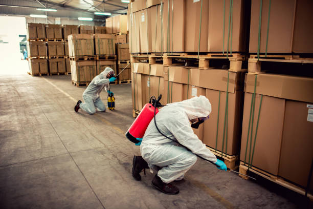 Best Affordable Pest Control Services  in La Crescent, MN