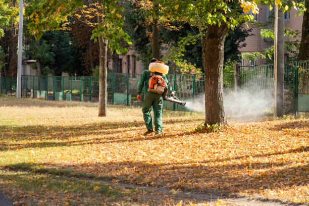 Best Local Pest Control Services  in La Crescent, MN