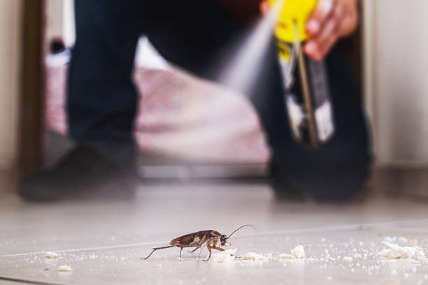 Best Best Pest Control Companies  in La Crescent, MN